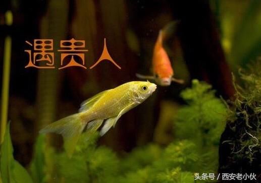 感恩生命中的贵人