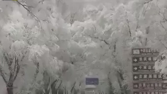 《首都经济报道》20180317北京喜迎瑞雪