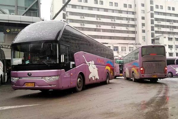 受持續降雪影響 鄭州各汽車站停運591班次