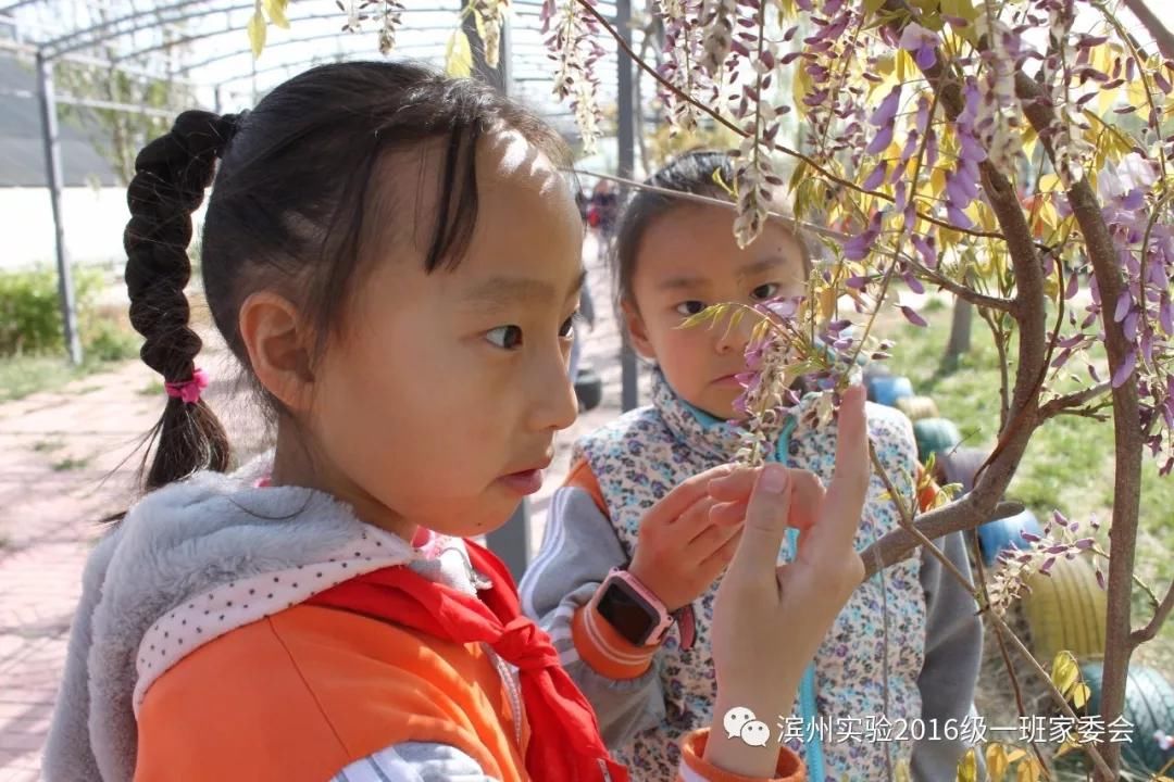 滨州实验学校开展踏春同行感悟春天游生态园