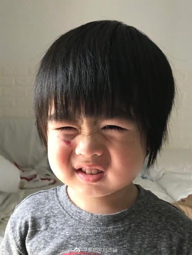 林志颖双胞胎儿子背唐诗,金句频出还闹笑话,跟