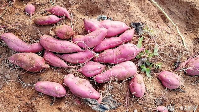 t01832a02e123664627.jpg?size=640x360