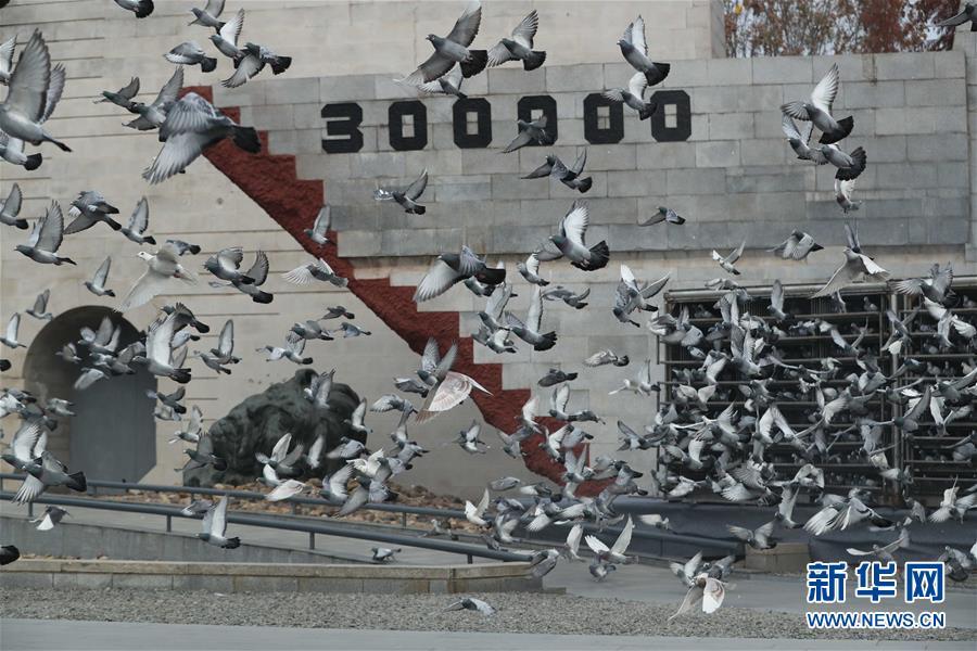 南京大屠杀死难者国家公祭仪式现场放飞和平鸽。