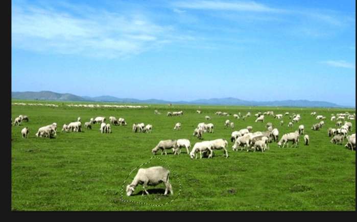 photoshop内容感知移动工具使用方法