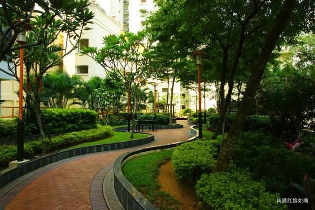 新加坡的物业管理什么样