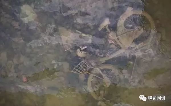 中国人素质差?看看这些外国人都干了什么