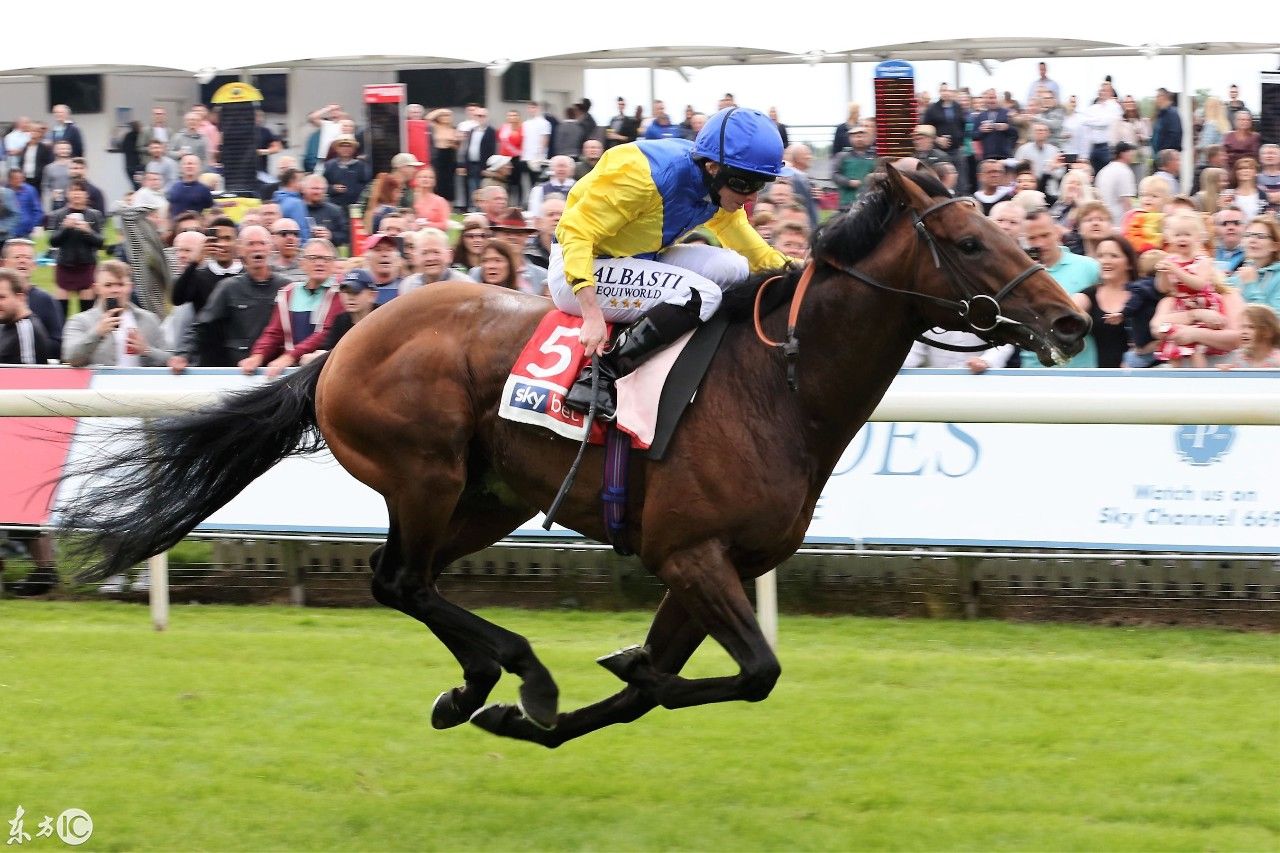 法国V澳大利亚,C组,2018国际足联世界杯足球