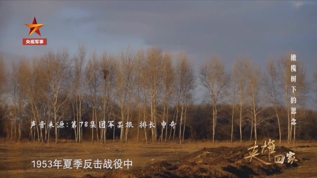 英雄之光丨橄榄树下，酿酒等你70年……