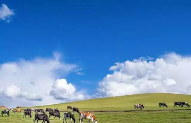 最适合夏季旅游的8个城市,你去过几个?