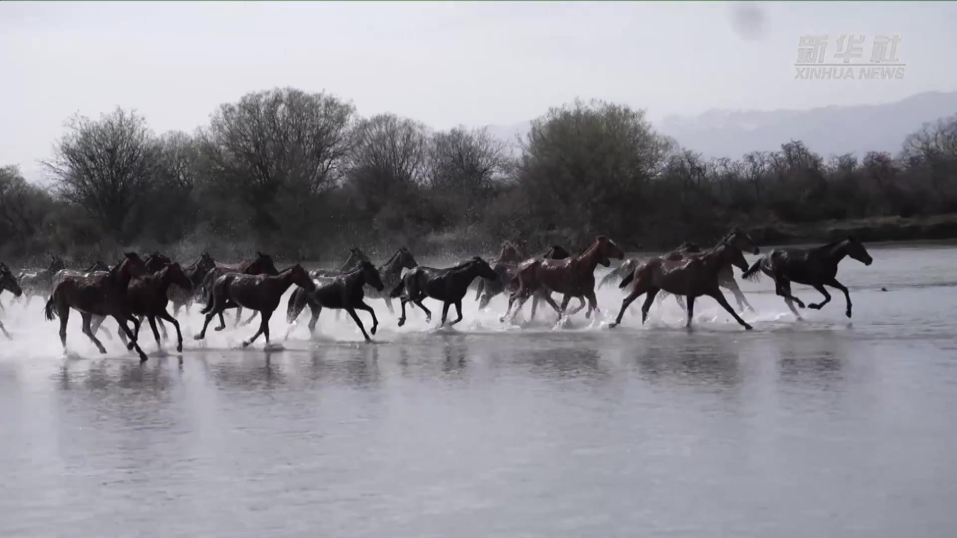 “天马浴河”，这是什么神仙画面！