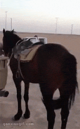 精选段子:因为单身,朋友挺为我着急的