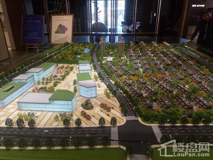 2019年买房最佳时间?任志强的判断是否正确?