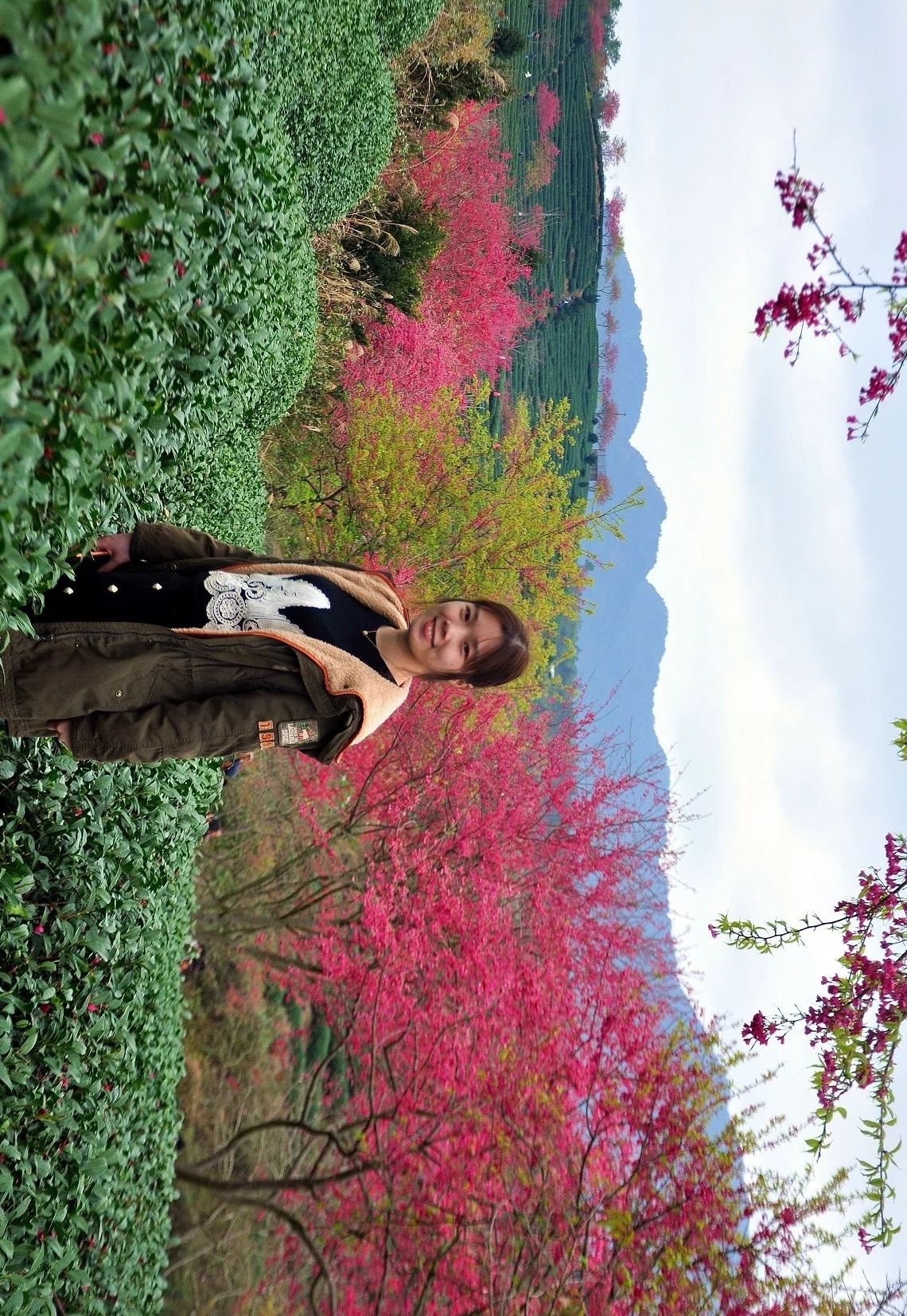 福建旅游-华安土楼,永福樱花园掠影,这里风光特