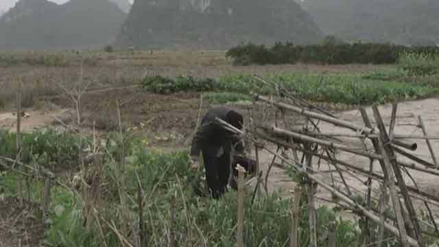 历经磨难却充满阳光 这样的韦绍兰令人钦佩 历经磨难却充满阳光 这样的韦绍兰令人钦佩