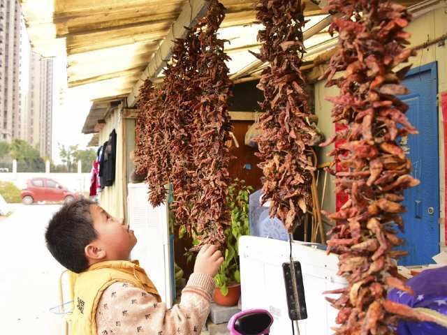 揭秘中国辣王:远赴海外击败印度人,挑战魔鬼辣