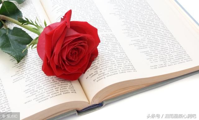 励志一句话顾城经典语录大全30句诗句