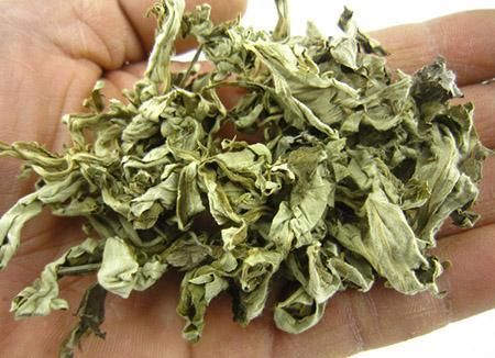 膝盖滑膜炎疼到走不了路?农村一株草,治几个