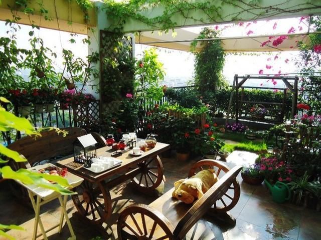 邻居家的阳台都在晾衣服,可是我家的却是个小花园