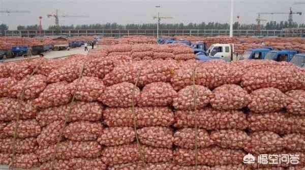 目前的大蒜大概在什么价格?现在收蒜入库可以