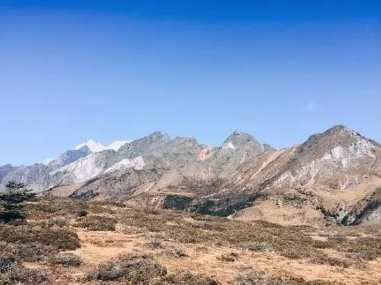 玉龙雪山都能造假?腻害了我滴滴哥!丽江市第一