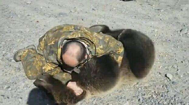 世界上三大怂动物之一俄罗斯的熊