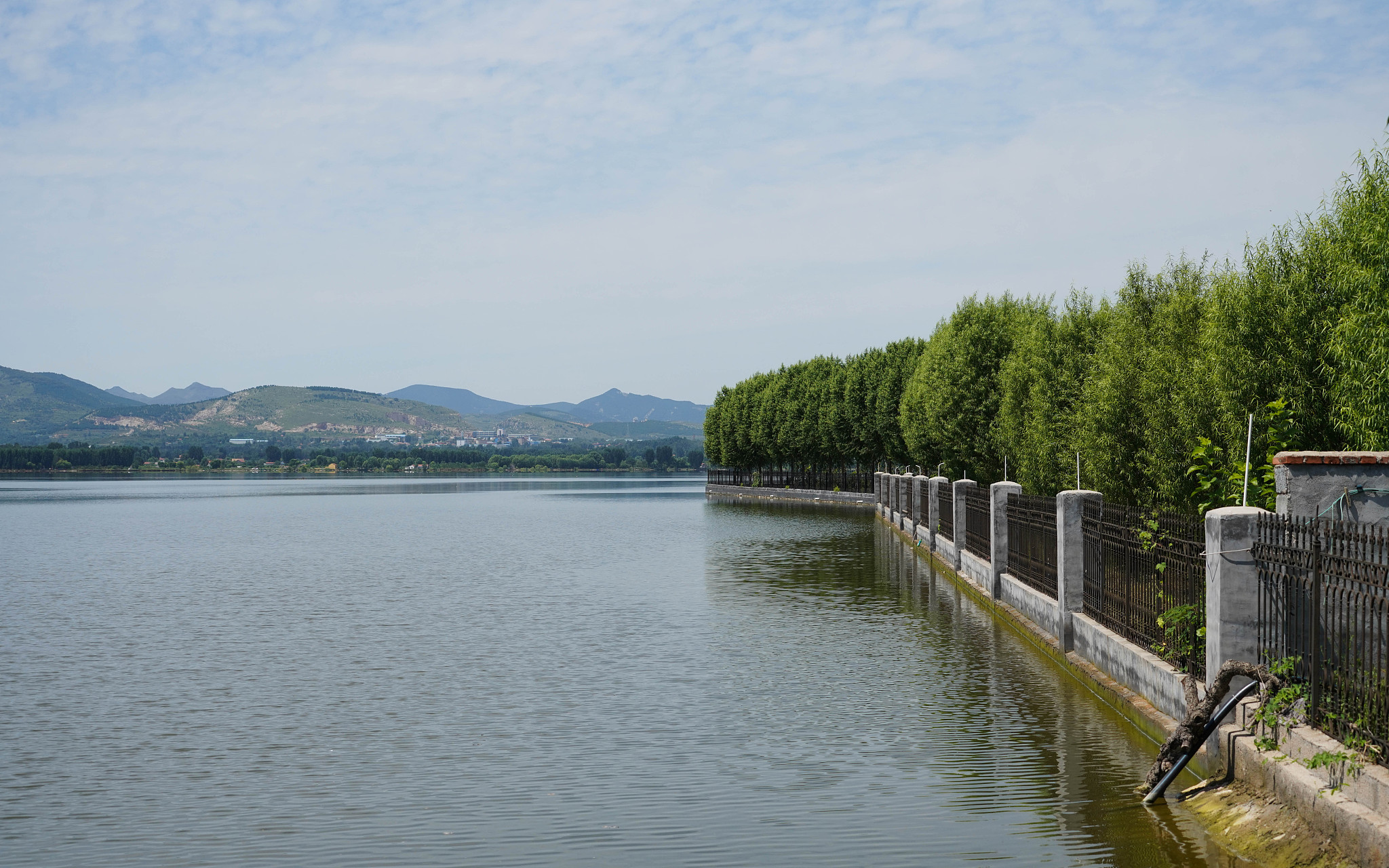 探访上山东寿光上游冶源水库:水位近堤坝