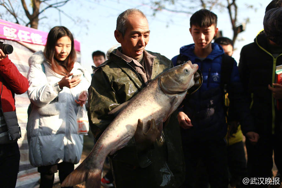 2017年是该校举办沁湖鱼宴的第三年，学生首次全程参与到捕鱼、做鱼；一共会捕捞三网，19日早的这网一共捕鱼14670斤，主要是草鱼、白鲢和胖头鱼。