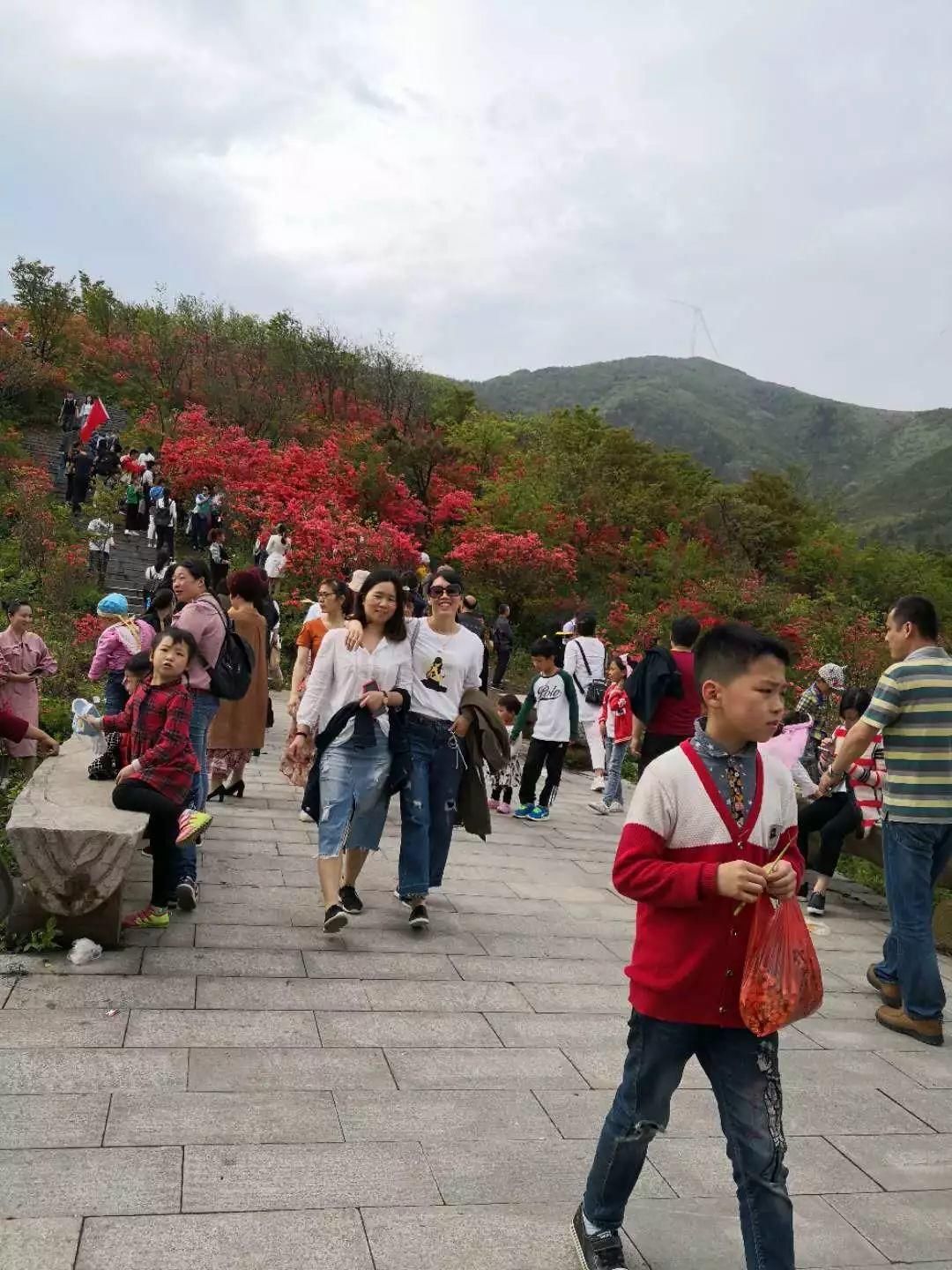 新化县森林公安舍小家顾大家 全力维护林场景