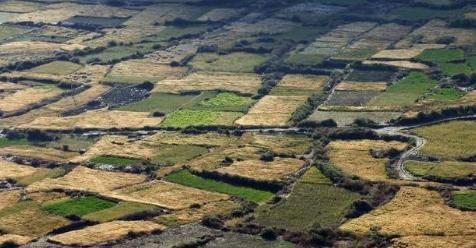 农村土地改革新试点,5万元一亩永久退出土地,