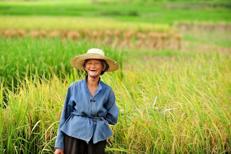 为何农村人比较长寿呢?百岁农民说出原因
