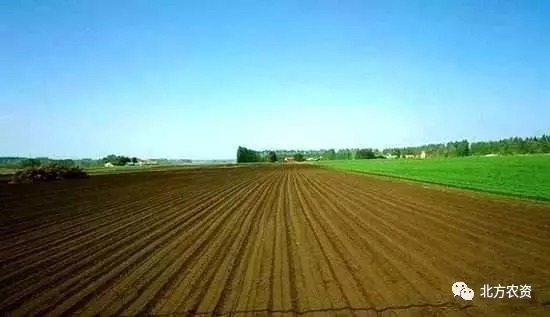 关于轮作休耕试点,农业农村部最新消息!