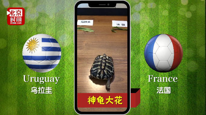 世界杯神龟疯狂预测:高卢雄鸡发神威痛击乌拉圭 世界杯神龟疯狂预测:高卢雄鸡发神威痛击乌拉圭
