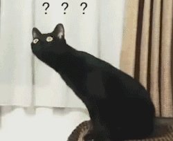 黑猫沙雕表情包分享 长脖子黑猫表情包