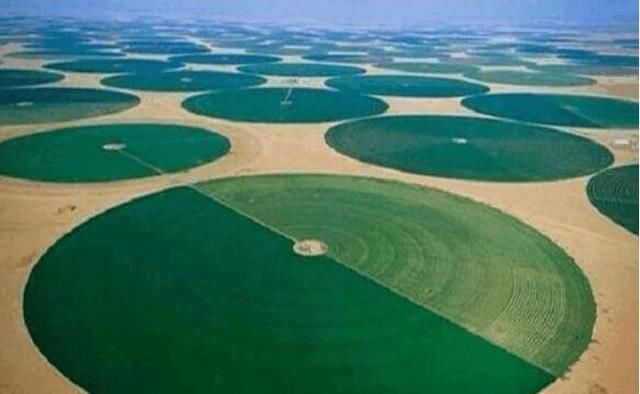 沙特、阿联酋那些国家那么有钱为什么不发展工业