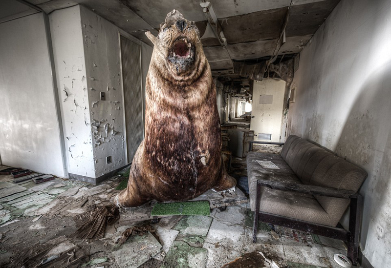 布雷特说：“我们本来是要拍摄城镇，却不小心闯入了这所废弃的学校。刚踏进来时，我心里还一阵恐慌。尤其是当我面对面跟一只庞大的海豹对峙时，我的第一反应是‘好大一只熊，这下我完蛋了’。现在想来仍令人恐惧不已。”