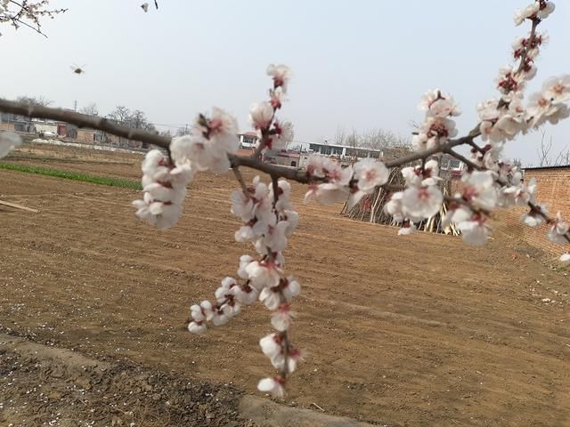 魅蓝S6 评测 三星低端处理器果然还是不行