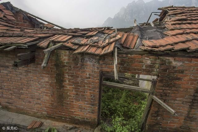 大哥獨吞家產,只給弟媳一破房子和一條土狗,結果土狗讓她發了財