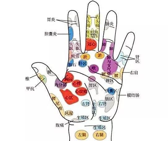 宝宝的五个手指对应五脏,哪里生病就找手指反
