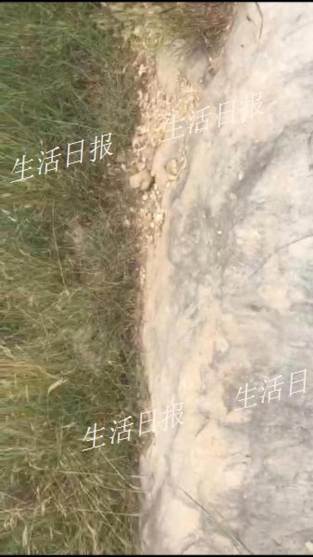 狠心!出生四五天的婴儿被人遗弃在济南一水库旁