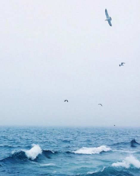 心理学:第一眼你看到什么?测你是天生好命吗?