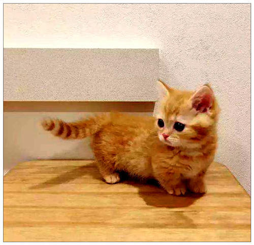 男子划船到湖中钓鱼,看到远处有东西,过去一看急忙救援!