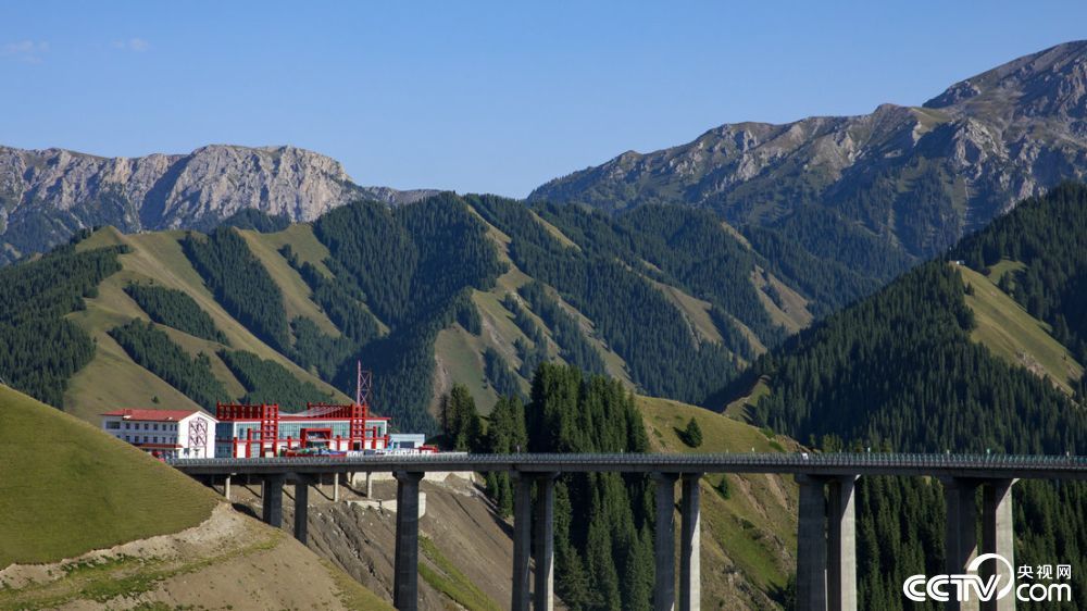 大桥是新疆公路第一座斜拉桥，也是国内第一座公路双塔双索面钢桁梁斜拉桥。