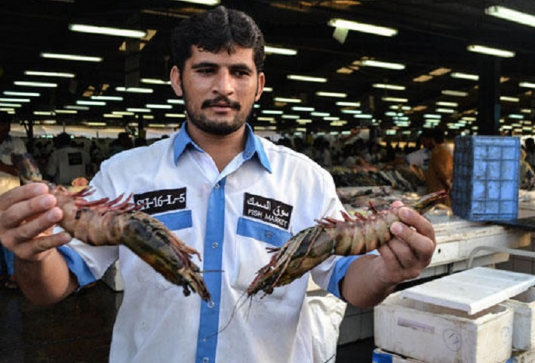 人们总说土豪的世界你不懂,那么迪拜土豪们的