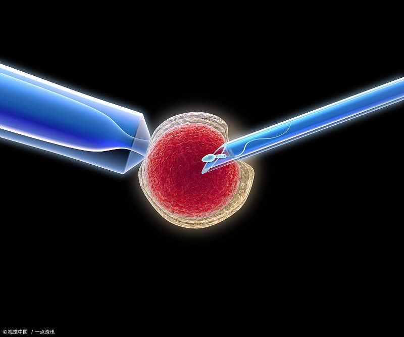 人工授精和试管哪个成功率高些(人工授精和试管婴儿哪个成功率高)-第1张图片-鲸幼网