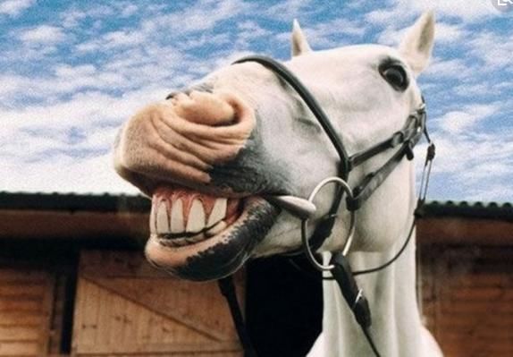 幽默笑话:发烧了,浑身酸痛,老公过来问我咋地了