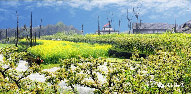 重庆第二国际机场开始选址?!永川,雄起!