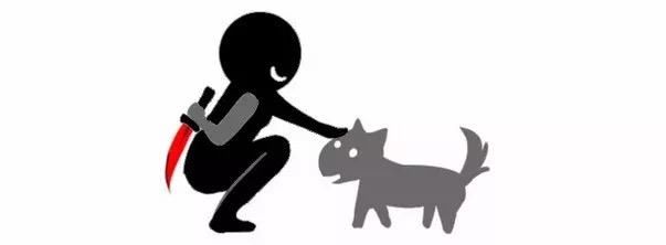 PG歌词蓝洁瑛遭遇柯基被摔死:谁在为青少年扭