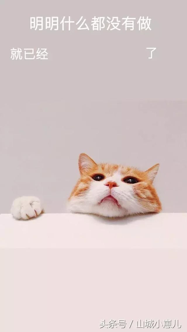 抖音最火壁纸|明明什么都没做,就已经…