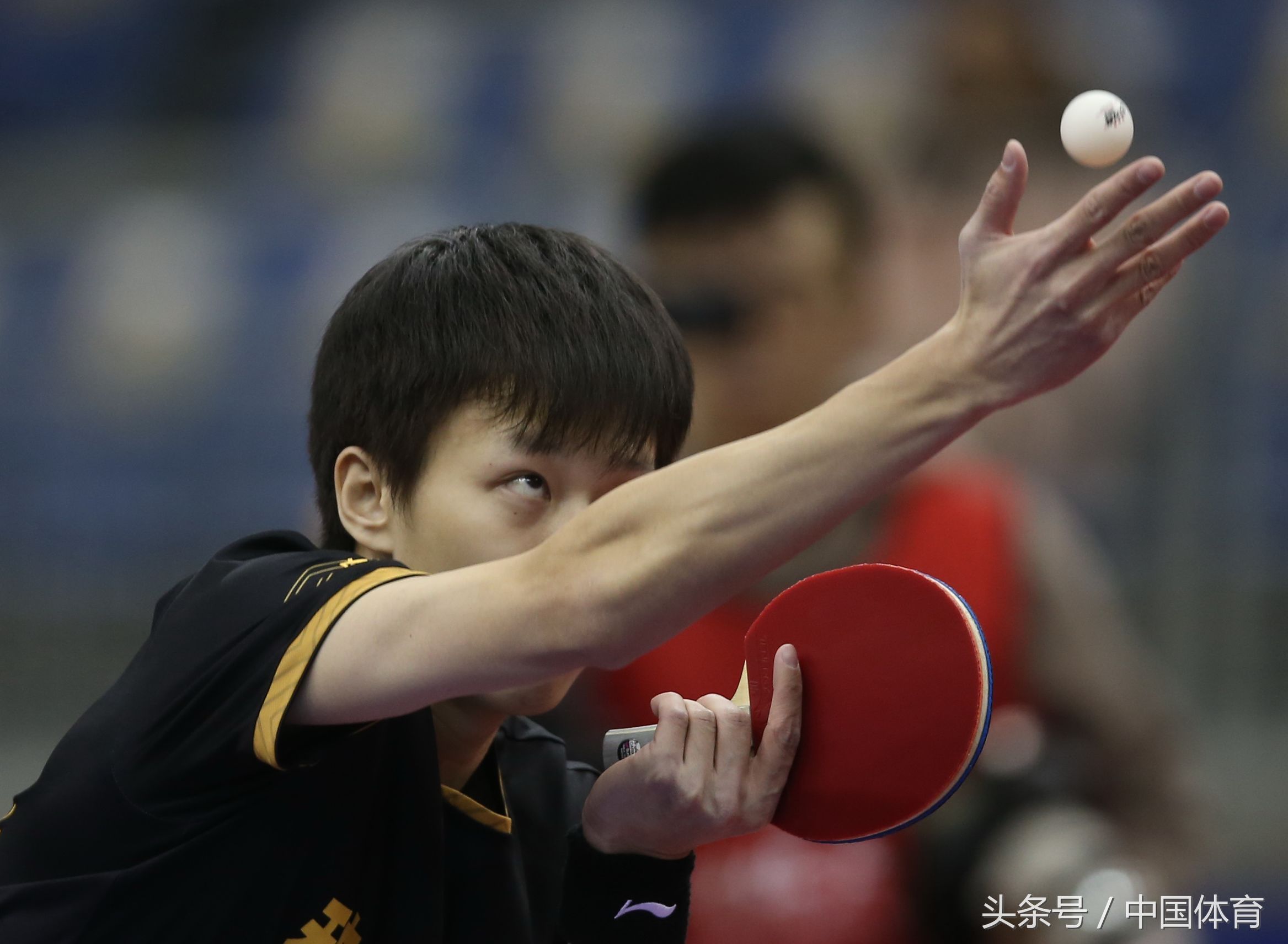 乒超联赛第十轮比赛 天津队1比3负于山东队