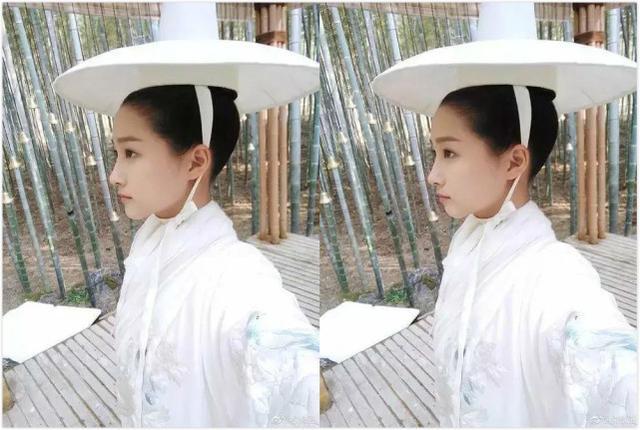 女星多神奇?赵丽颖谭松韵就差个下巴,刘诗诗下